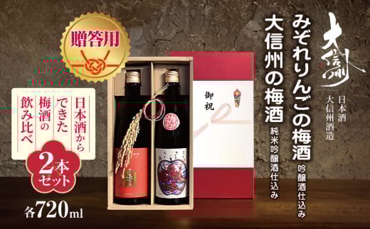 【贈答用】大信州酒造「大信州の梅酒　純米吟醸酒仕込み」と「みぞれりんごの梅酒　吟醸酒仕込み」日本酒からできた梅酒の飲み比べ2本セット｜ふるさと納税  酒 日本酒  飲料 ドリンク 地酒 お酒  記念日 2本セット 長野県 松本市