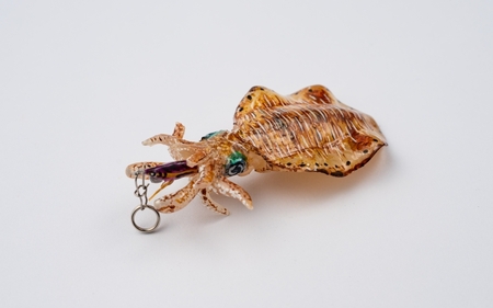 アオリイカ アクセサリー S / オーダーメイド オーダー制作 キーホルダー ストラップ エギング 釣り 海 うみ ルームミラー 飾り アクセント インテリア おしゃれ かわいい お土産 雑貨 思い出