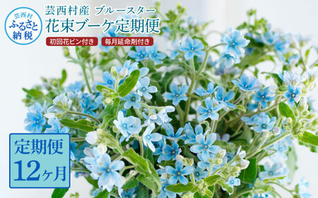《12ヵ月定期便》 ブルースター 花束 初回花瓶付 延命剤付き 