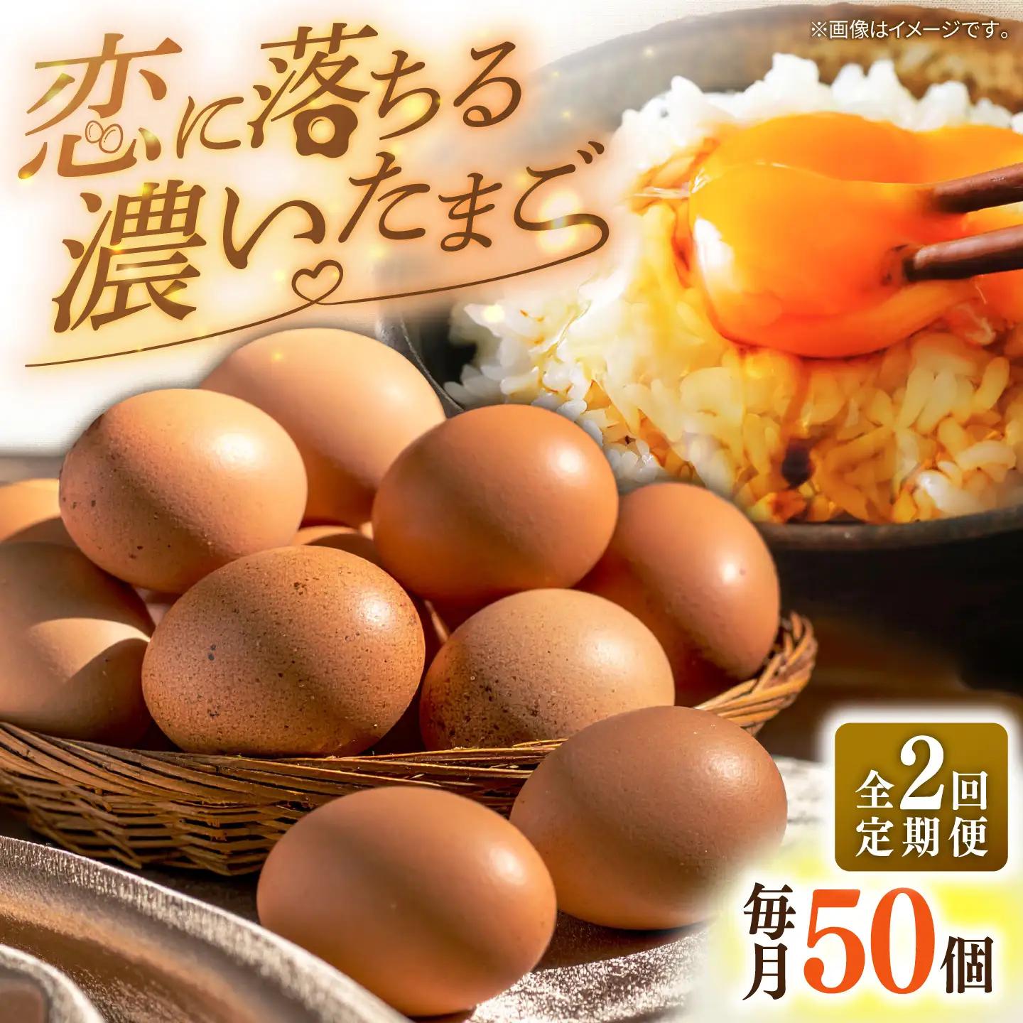 素直な恋たまご 50個 2回定期便 [JAP022] たまご