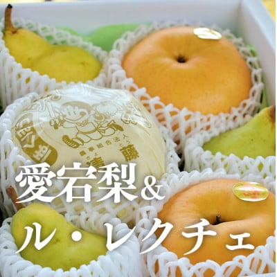 【きよとうファーム】あたご梨＆ル・レクチェ 上級品/5-7玉入(岡山県産)