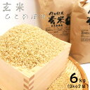 【ふるさと納税】花巻産「健土健米」玄米(3kg×2袋）《令和6年産》新米