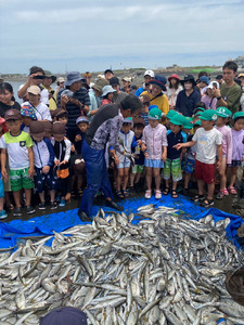 地引き網体験＋BBQ 団体プラン (30人～) 【地引網 バーベキュー 江の島 江ノ島】
