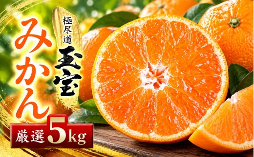 ＜愛媛名産＞玉宝みかん＜雫・・小玉＞(5kg)＜D64-2＞_ みかん ミカン 柑橘 フルーツ くだもの 果物 ふるーつ 青果 果実 甘い ジューシー 産直 産地直送 旬 柑橘類 人気 小玉 【1340914】 YWTY002