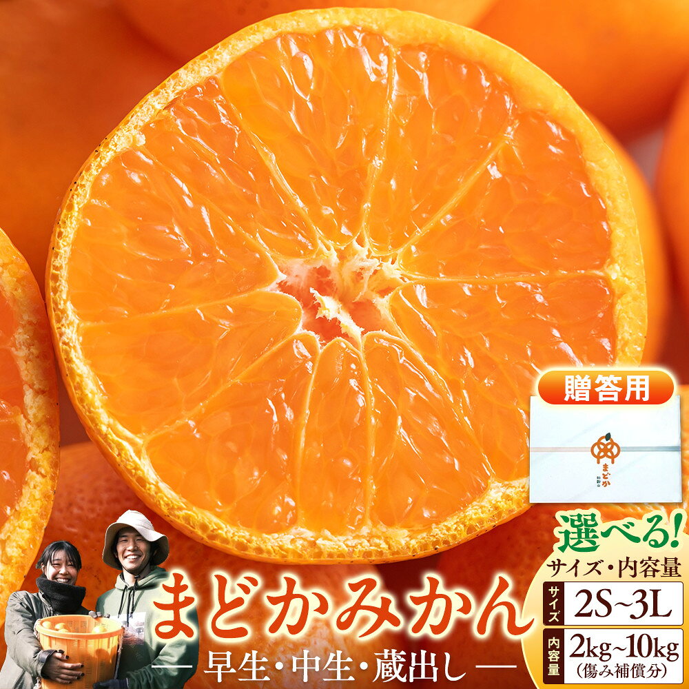 【ふるさと納税】【先行予約】【選べる種類・サイズ・内容量】贈答用 みかん 箱入 2kg~10kg＋傷み補償分 和歌山県 海南市 | みかん 蜜柑 フルーツ 果物 くだもの 食品 人気 おすすめ 送料無料 産地直送