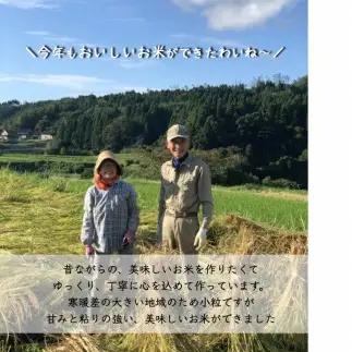 令和7年度産 【特別栽培米】 石川県産 こしひかり 棚田米 【白米】 5kg まっきゃま米