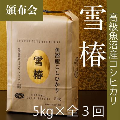 ふるさと納税 津南町 【毎月定期便】高級魚沼産コシヒカリ「雪椿」精米 5kg(5kg×1袋) 特別栽培米全3回