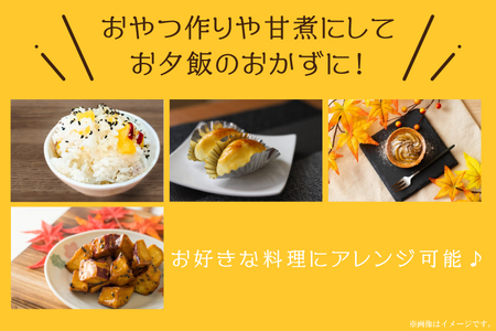 EK-8　【2026年9月より順次発送】農産物直売所「やさいの声」さつまいも　紅はるか　新芋　洗い　約3kg