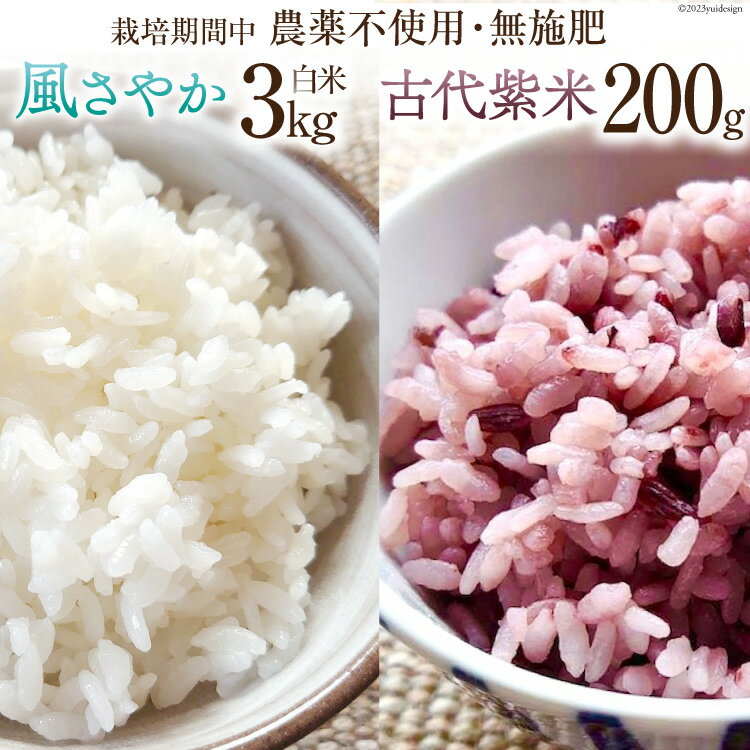 【ふるさと納税】 米 令和7年 風さやか 白米3kg & 古代紫米 200g セット [森の土・あづみ野ファーム 長野県 池田町 48110534] お米 コメ こめ 精米 白米 ご飯 ごはん 古代米 玄米 雑穀米 国産
