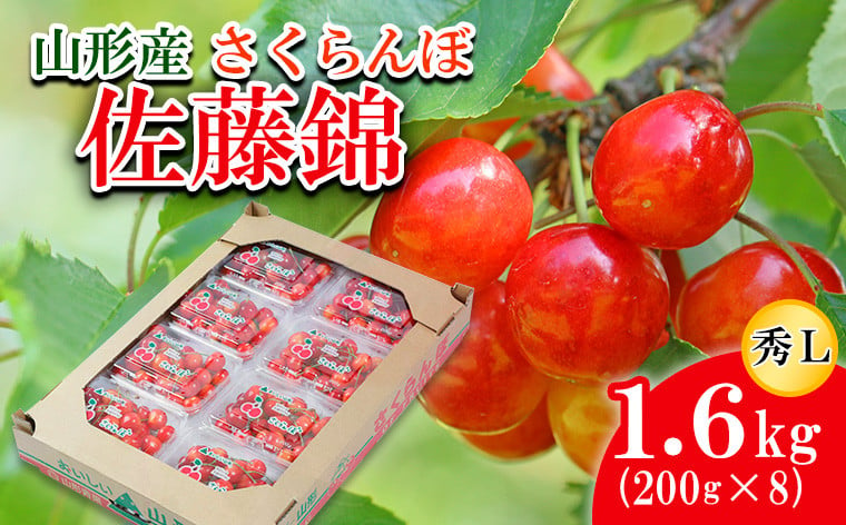 
            さくらんぼ 佐藤錦 L 1.6kg(200g×8) 【令和7年産先行予約】FU21-817 くだもの 果物 フルーツ 山形 山形県 山形市 2025年産
          