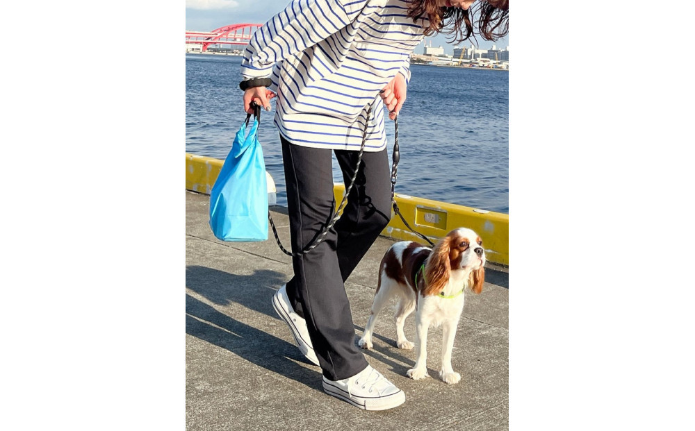 【B-THREE/ビースリー】ペットの抜け毛や花粉がつきにくい  ストレートパンツ(870031)