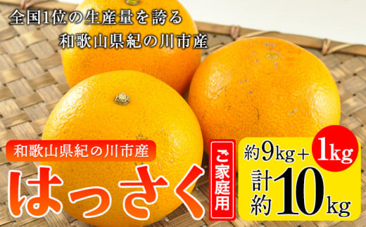 【ふるさと納税】【訳あり/ご家庭用】紀の川八朔 9kg＋1kg 計約10kg サンファーム《2025年1月上旬-3月末旬頃出荷》和歌山県 紀の川市