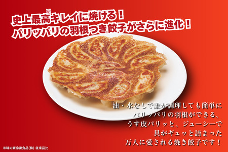 AJINOMOTOギョーザ 10袋 ぎょうざ 餃子 冷凍餃子冷凍餃子冷凍餃子冷凍餃子冷凍餃子：B130-047