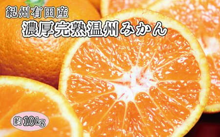 完熟有田みかん　10kg　※2026年11月下旬～2027年1月下旬頃に順次発送予定(お届け日指定不可)【uot705】