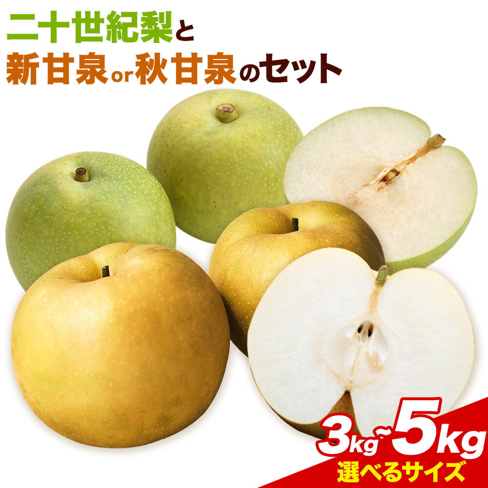 【ふるさと納税】二十世紀梨 新甘泉 or 秋甘泉 セット 3kg 5kg Lサイズ 2Lサイズ 3Lサイズ 4Lサイズ さんチョク 《8月下旬-9月下旬頃出荷》梨 なし フルーツ 旬 果物 先行予約 和梨