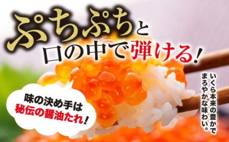 笹谷商店 北海道産 いくら イクラ (鮭) 250g×10個 2.5kg 2,500g 魚 醤油漬け 海鮮醤油漬け 海鮮 海鮮丼 ギフト 冷凍 魚卵 魚介類 年内発送 しょう油漬 ご飯のお供 F4F-