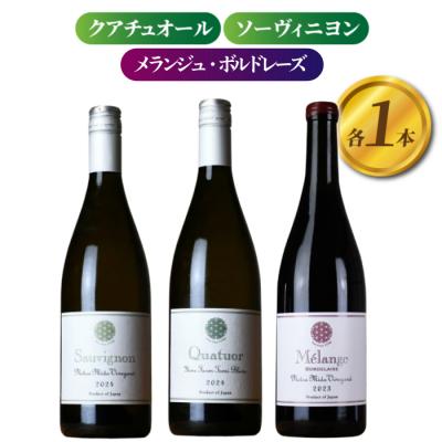 ふるさと納税 東御市 【ヨネファーム東御】ソーヴィニヨン、クアチュオール、メランジュ・ボルドレーズ　各1本、計3本