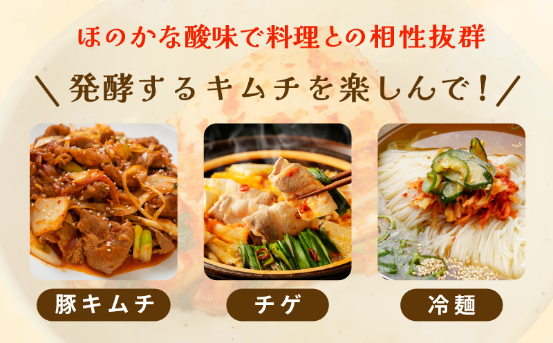 韓国人夫が作る！無添加・砂糖不使用の白菜キムチ1kg+おまけ季節のキムチ100g【高評価 人気 惣菜 きむち 漬物 韓国グルメ おつまみ】 G3774_イメージ5