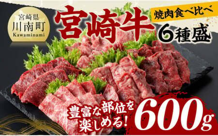 宮崎牛 焼肉 食べ比べ 6種盛 600g 【 肉 牛肉 国産 宮崎県産 黒毛和牛 和牛 焼肉 バーベキュー 】