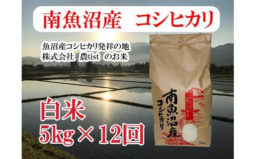 【令和7年産】【定期便 南魚沼産】コシヒカリ 白米5kg×12回