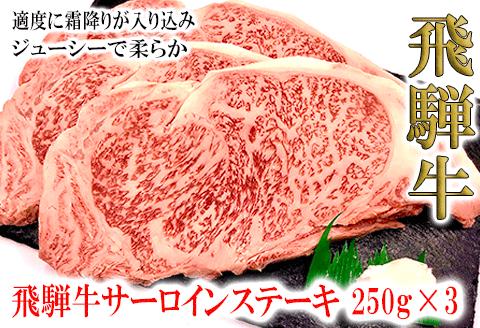 【冷凍】菊の井 飛騨牛サーロインステーキ 250g×3  牛肉 ブランド牛【70-13】