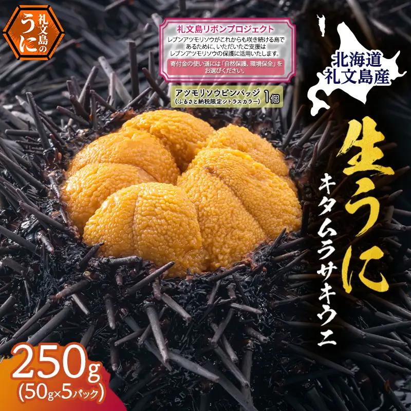 礼文産 キタムラサキウニ 塩水 250g(50g×5)ピンバッジ付 うに