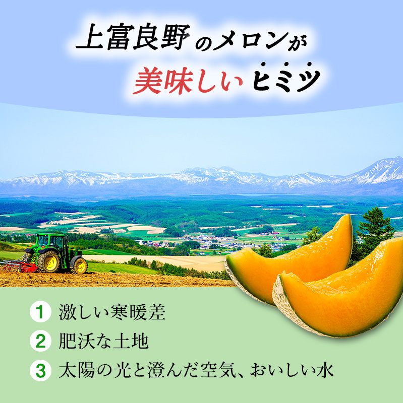 北海道 上富良野 町産 「 ふらの メロン 」 大玉 秀品  2玉 約 2kg 以上 赤肉 メロン 産地直送 富良野 フルーツ							
 果物類 フルーツ メロン赤肉 _イメージ3