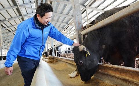 宮崎和牛「齋藤牛」切り落とし800ｇ（400g×2パック）＜1.2-61＞