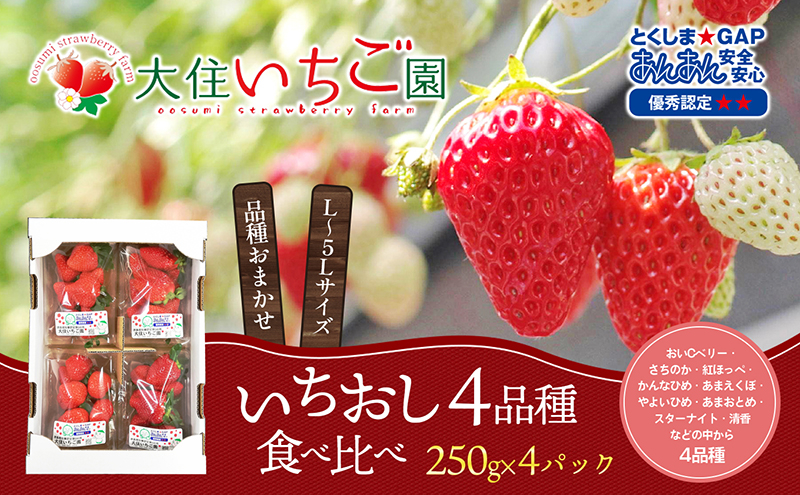 
個性派いちご4品種食べ比べセット　250g×4パック　『とくしま安2（安全・安心）GAP農産物』優秀認定取得
