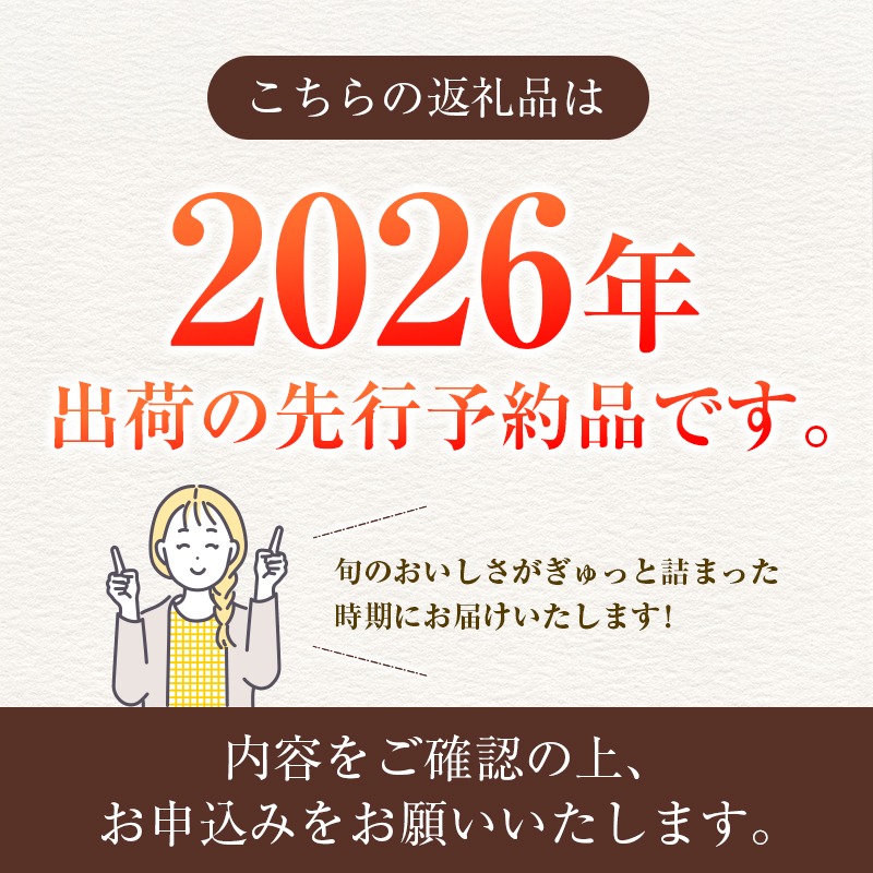 【2026年発送 先行予約】完熟マンゴー 3L×2玉（フルーツ マンゴー 完熟マンゴー アップルマンゴー 果物 くだもの 先行受付 2026 令和8年 宮崎）