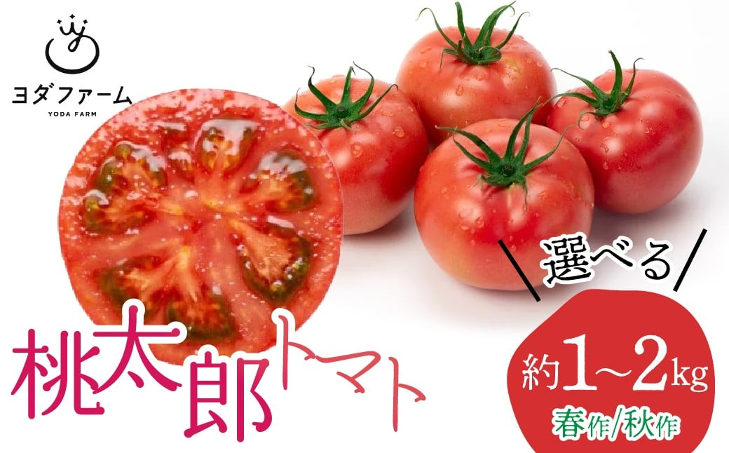 
            桃太郎トマト 【選べる】 春作 秋作 1kg～2kg ALPFL001-004
          