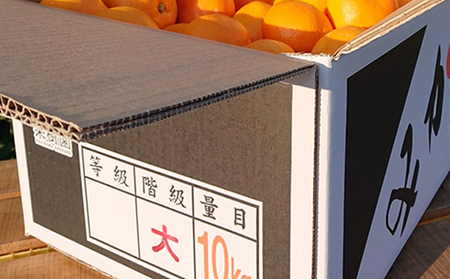 温州みかん大玉くん　約10kg