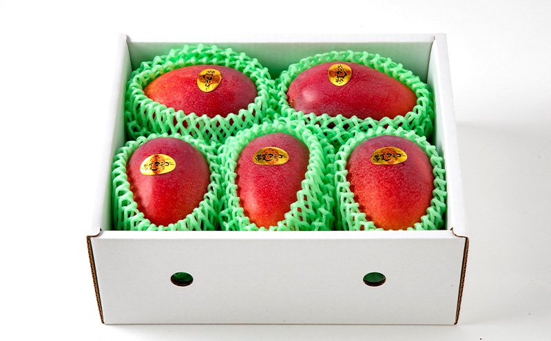 【9月・数量限定企画】【2026年発送】最高級　常夏アップルマンゴー！糖度17度以上　約2kg農園から直送 最高級 先行予約 沖縄 甘味 糖度 濃厚 美味しい お土産 おいしい ギフト とろける甘さ 