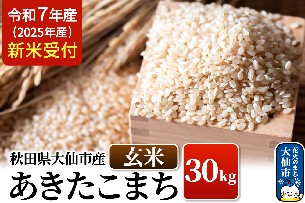 
            《令和7年産 新米受付》令和7年 秋田県大仙市産 あきたこまち【玄米】30kg
          