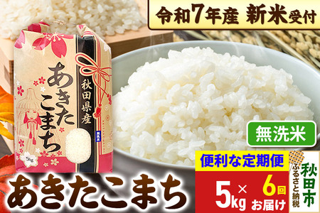 《令和7年産 新米受付》《定期便6ヶ月》 あきたこまち 5kg【無洗米】秋田県産 こまちライン