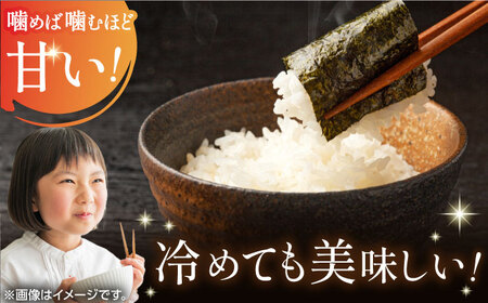 令和7年産 さがびより 白米  5kg×2袋 / 白米 [41ADAR005]