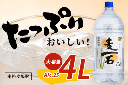 【 年内お届け 】メガボトル！ 純 麦焼酎【麦一石】4L エコペット 25度 【2024年12月18日～28日発送】 焼酎 蔵元直送 4リットル パーティサイズ 麦 酒 麦麹 焼酎 大容量 熊本 球磨