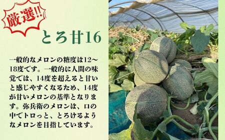 アムスメロン 2玉 大サイズ (1玉約1.75〜2.0kg未満) アムスメロン メロン 千葉県 銚子市 弥兵衛