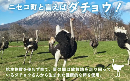 〈ダチョウの卵使用！〉リッチ卵使用『どら焼きサンド』６個入りセット