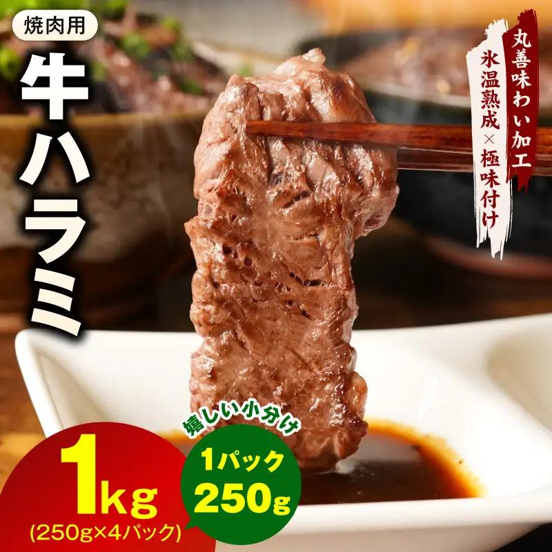 牛肉 ハラミ 1kg 小分け 250g×4P 氷温熟成×極味付け