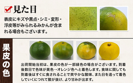 みかん 訳あり くまもと小玉みかん 5kg (2.5kg×2箱) 秋 旬 ちょっと訳あり 不揃い 傷 ご家庭用 SDGs 小玉 たっぷり 熊本県 産 S-3Sサイズ フルーツ 旬 柑橘 長洲町 温州み