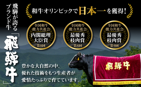 【2週間～発送】飛騨牛 A5等級 焼肉用 霜降り 700g 大判 訳あり 焼き肉 BBQ 肉 牛肉 お肉 和牛 冷凍 霜降り A5等級 25000円 [S427]