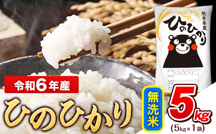 令和6年産 ひのひかり 無洗米 5kg (5kg×1袋)《7-14日以内に出荷予定(土日祝除く)》熊本県産 ひの 米 こめ ヒノヒカリ コメ お米 おこめ