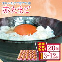 【ふるさと納税】【選べる回数】きれいな水で育てた卵 赤たまご 20個 1回～12回 | 保坂農場 赤玉 赤い卵 卵 たまご 銘水 定期便 定期 3回 6回 12回 君津市産 千葉 君津 きみつ 房総