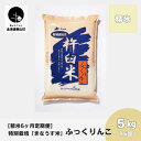 【ふるさと納税】【精米6ヶ月定期便】特別栽培「きなうす米」ふっくりんこ5kg×6回