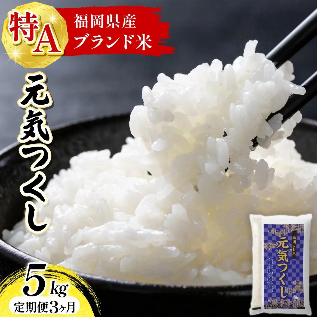 【定期便：３ケ月】令和７年産 福岡県産米 元気つくし 5kg 精米 CY011sub3