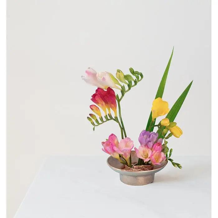 針のない剣山 / Flower garden
