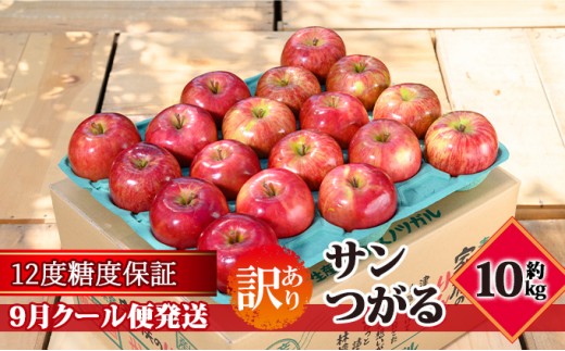 
                  【9月クール便発送】（12度糖度保証）訳あり品 家庭用 サンつがる約10kg【 青森りんご 果物類 林檎 リンゴ 青森県産 フルーツ 旬の果物 産地直送 訳アリ  】
                