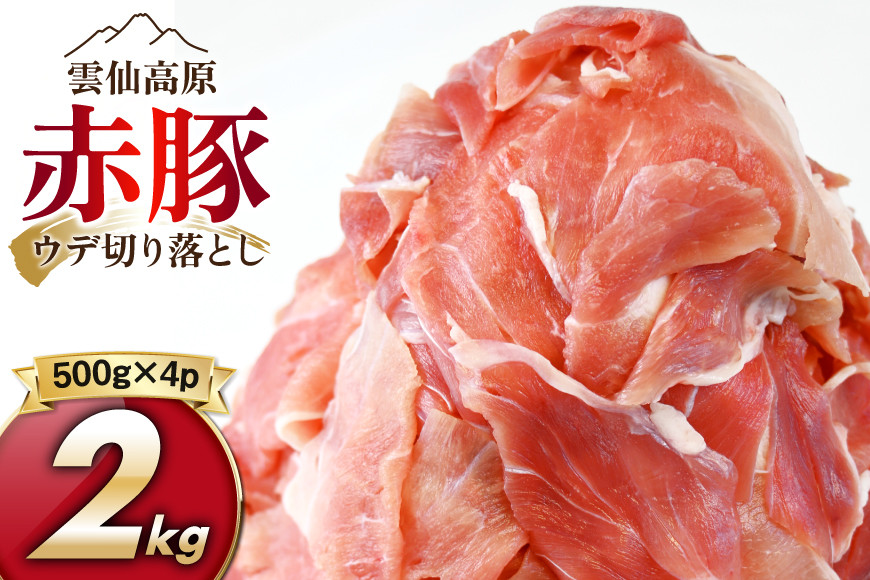 
            雲仙高原 赤豚 国産 豚ウデ 切り落とし 2kg 500g×4p [長崎県農産品流通 長崎県 雲仙市 item1582] 豚肉 肉 切落し
          