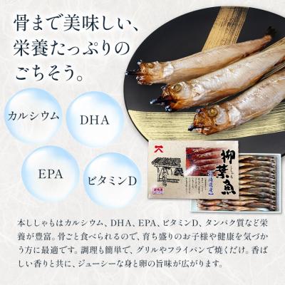 ふるさと納税 日高町 北海道産 ししゃも LL20尾セット(オス・メス各10尾) 有限会社阿部水産《14日以内に出荷予定》 |  | 02